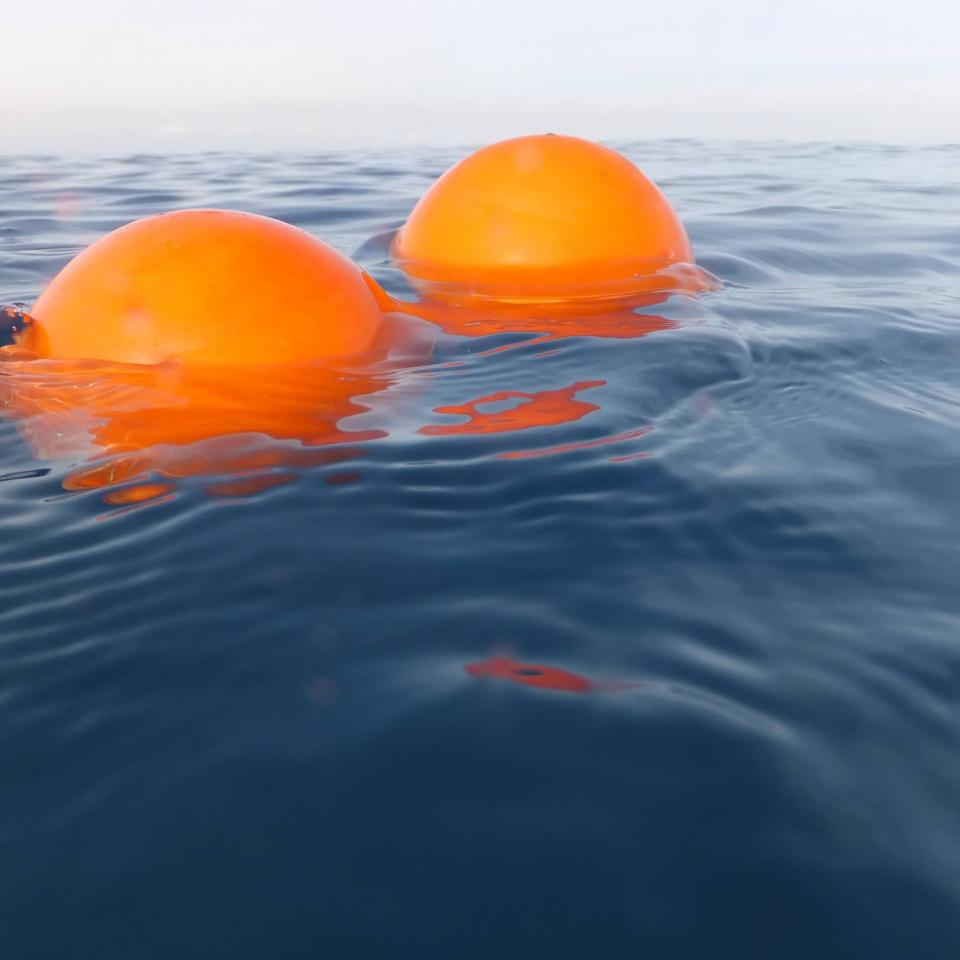 Drifters in the Water